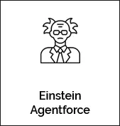 Einstein Agentforc